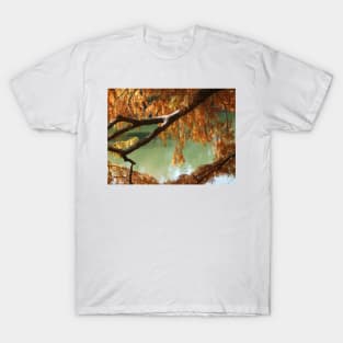 Colorful Fall Bald Cypress T-Shirt